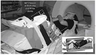 A subject in the simulated upright Sitting posture with close to 90º flexion at both the hip and knee joints in a MRI scanner and a schematic of the sitting apparatus. 4 pieces of foam were used to support the neck-trunk, buttock-thighs, and shanks. Air bladder imbedded between the body and a stiff rubber was used to apply a pressure load to the posterior side of the buttocks and thighs.